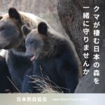 日本熊森協会、「熊側」につく