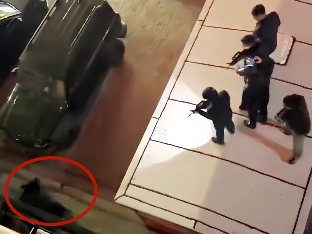 【チャイナ】 市街地にクマ出没、ピックアップトラックに積めないほどの巨体