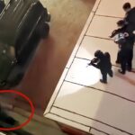 【チャイナ】 市街地にクマ出没、ピックアップトラックに積めないほどの巨体