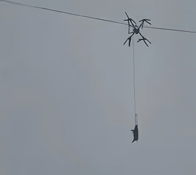 【悲報】中国さん、出荷する豚をドローンで運搬　→　電線に引っかかって10時間停電