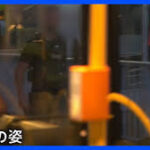 不法移民摘発のため…欧シェンゲン圏内で国境検問を復活させる動き相次ぐ