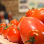 【🍅】“トマトショック”がカレーも直撃　平均価格が2.4倍に上昇…主要産地・熊本県の記録的な大雨で出荷量減少