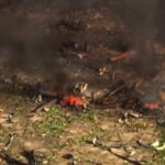 【アメリカ】軍事用爆薬製造工場で爆発…建物が跡形もなく破壊　死傷者も　19人の安否が不明　テネシー州