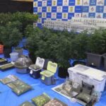 【三重】末端価格5千万円以上を押収…乾燥大麻を販売目的で所持か　韓国籍の45歳男と30歳妻を逮捕