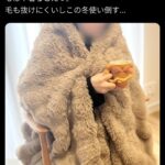 【画像】「着る毛布界隈」増殖WWW