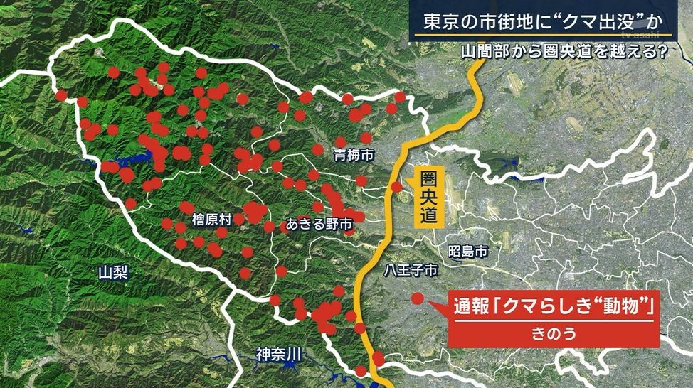 【画像】クマサン、ついに東京都心へ向けて進撃を開始！圏央道の結界を越えるWW