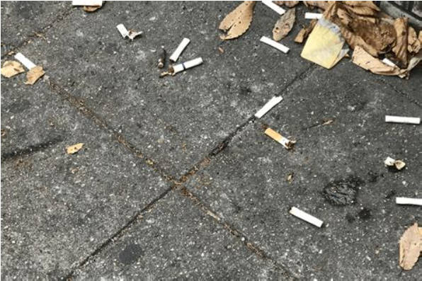 コンビニ店の駐車場にたばこの吸い殻などを捨てた男（21）を逮捕