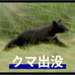 【（・(ｪ)・）Uo･ｪ･oU】住宅で秋田犬の鉄雲くん（６）がクマに襲われ背中や口に負傷　飼い主が工具で撃退　住宅地に相次ぐ出没　宮城