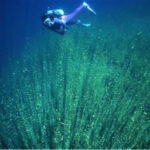 【速報】ダイバー「深さ３０メートルの湖底に人が！」【北海道・支笏湖】