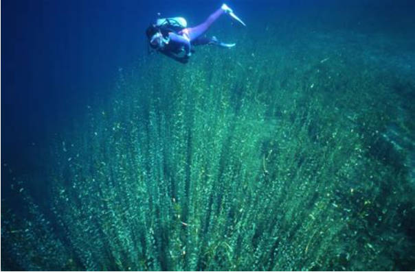 【速報】ダイバー「深さ３０メートルの湖底に人が！」【北海道・支笏湖】