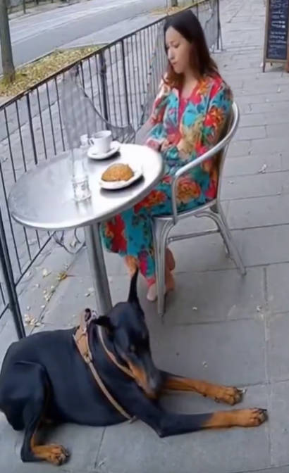 【動画】イッヌの危機察知能力、レベチｗｗ