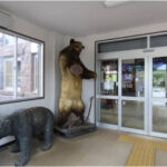 北海道の無人駅、ヒグマ駅長が改札、無賃乗車を厳しく取り締まり