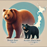 ヒグマの知能は人間とサルの中間くらい。飼育下ではパソコンも操作できるレベルに。