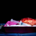 【話題】臓器移植で150歳まで生きられる？習氏・プーチン氏の会話で注目。テレビ局のマイクが偶然拾ったオフレコの会話が世界中で話題に