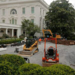 トランプ大統領奥さん「日本が持ってきた桜の木が邪魔。全部捨てて」ホワイトハウスから桜が無くなる…