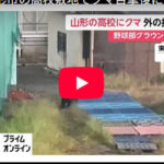 【動画】山形高校の体育館、クマさんの遊び場にされてしまうｗｗ