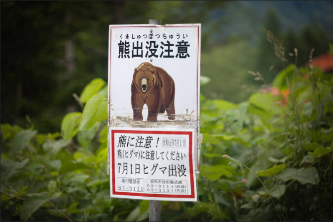 【秋田】熊出没で飲食店悲鳴　「お客さんが来ない」