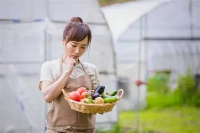 【食べ物／米】販売実績・在庫の報告義務に　農家含む事業者