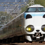 JR西、和歌山アドベンチャーワールド行きの電車を天野喜孝さんが描いたパンダでラッピング😨