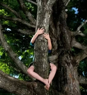 【ゴールデンエイジ（黄金期）】子どもの「外遊び」は驚くほど脳にいい、一生ものの能力に影響