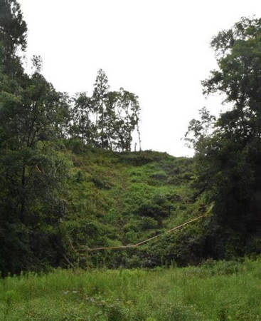 【🌲】「激怒しかありません」宮崎で相次ぐ山林無断伐採の実態 ー被害者の悲痛な叫び・伐採業者は「盗伐ではなく誤伐」と主張ー