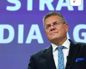 【中国を苦しめるEUの「経済安全保障ドクトリン」】このドクトリンの本質は、中国製品を「競争で排除する」のではなく、「制度の外側に追いやる」点にある