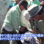 【再炎上】沖縄反基地活動家が防衛省職員を囲み取り押さえる動画が再拡散