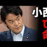 中革連の加入条件「安保法制合憲」小西ひろゆきさん亡命へ