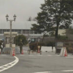 (｀・ω・´)ゞ陸上自衛隊、東富士演習場で車両1両大破　ご飯加熱のガスバーナーから延焼