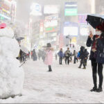 東京でも大雪、これから毎日100cm降る見通し