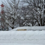 除雪費用減らした張本人らのくせに、ボ〇てんのか？