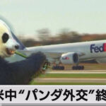 「パンダさまがご帰国なさっておられるぞー」とういろう通信