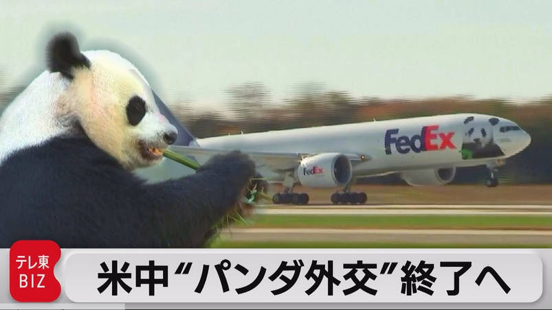 「パンダさまがご帰国なさっておられるぞー」とういろう通信