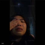 【悲報】ベトナムまんさん「飼い猫が家の3階から落ちたから日本の警察を呼んだのに何もしなかった」