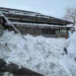 秋田県で雪下ろし中に死亡した人が7人目に　熊に殺されるか雪に殺されるかしかないのか