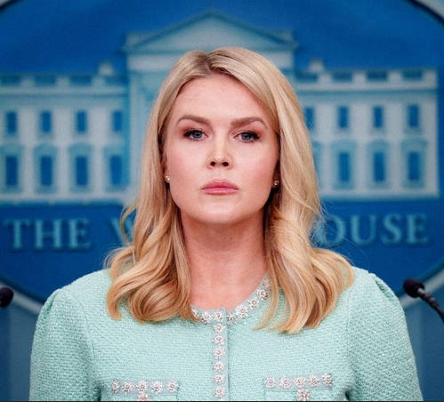 【不法移民】米、キャロライン・レヴィット報道官『不法に侵入してくる犯罪者を国外追放できない国など、国とは呼べない』