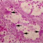 二パ様空港で止められる