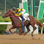 【競馬】衝撃の史上最高配当！小倉6Ｒで3連単5836万7060円　1着・カシノリアーナ18番人気→17番人気→10番人気で決着