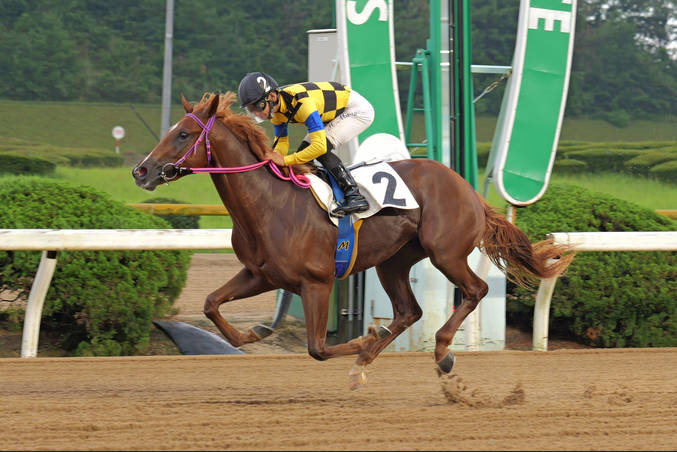 【競馬】衝撃の史上最高配当！小倉6Ｒで3連単5836万7060円　1着・カシノリアーナ18番人気→17番人気→10番人気で決着