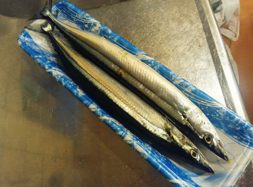 【検証】「秋刀魚は焼くんじゃなく茹でろ」ってSNSでバズってたから “焼き” と “茹で” を食べ比べてみた結果 → ある部位の味が変わってる