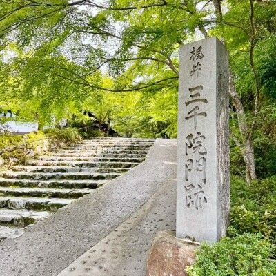 「京都の惨状」が中国SNSで話題に＝「外国人に攻め落とされた」「中国人は日本人より多い」