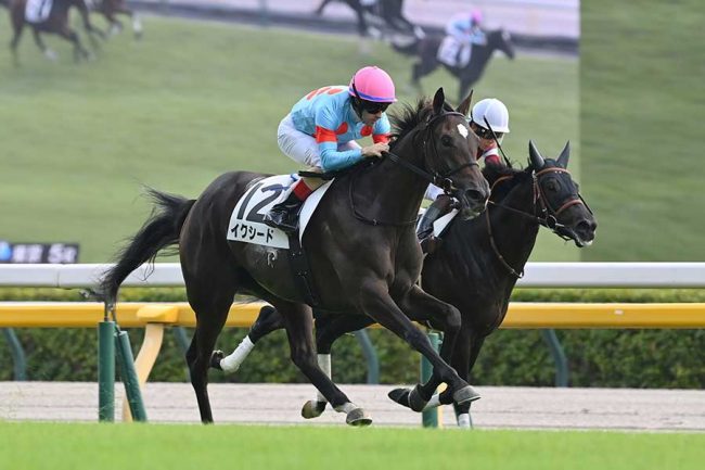 【競馬】イクイノックス全妹イクシードがデビュー戦衝撃V　ルメール珍行動、ゴール前で馬の首元をなでなで