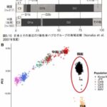 今現在あなたは　純日本人か　韓国人か　DNA検査でわかると判明（画像あり）