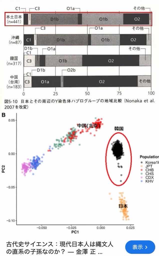 今現在あなたは　純日本人か　韓国人か　DNA検査でわかると判明（画像あり）
