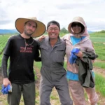 外国人の農地取得が過去最多　24年で175ヘクタール　個人、法人共に最多は中国