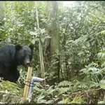 【（・(ｪ)・）】クマ被害 ハンターの人件費支援を　自民党プロジェクトチームが緊急提言とりまとめ　あす政府に申し入れ