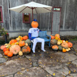 大谷翔平さん、カボチャに閉じ込められる🎃