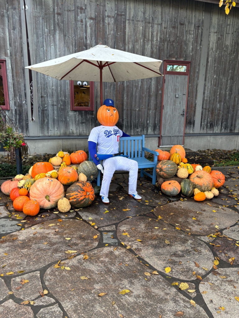 大谷翔平さん、カボチャに閉じ込められる🎃