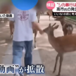 日テレ「奈良のシカいじめ特集」ヤラセ疑惑を否定も、“YouTube動画を一部削除”の謎を直撃