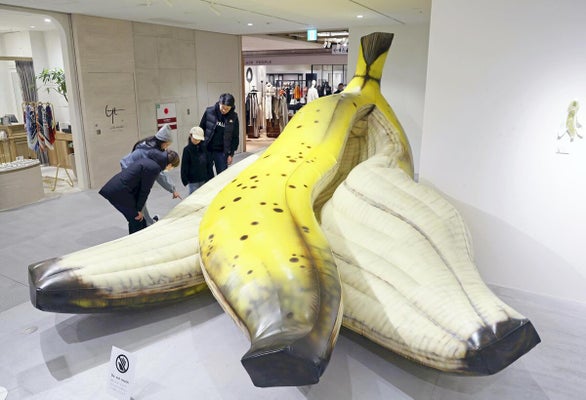 黒ずみや皮の裏側までくっきり見える巨大バナナ、福岡に出現